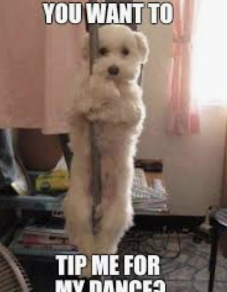 deonshea love hd star img