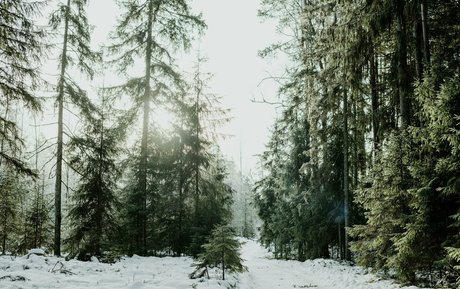 rumrtv pornstar nice photo