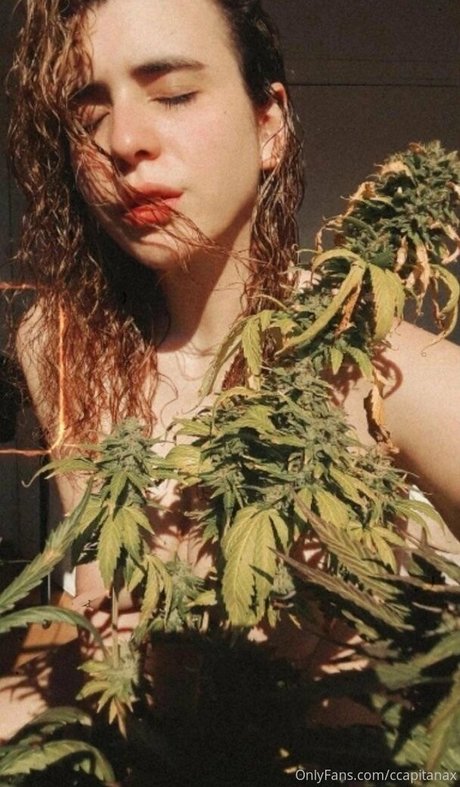 ccapitanax sexy model image