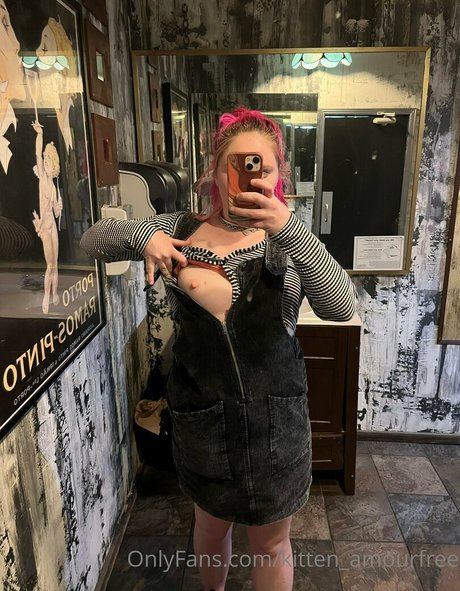 kitten amourfree art star images