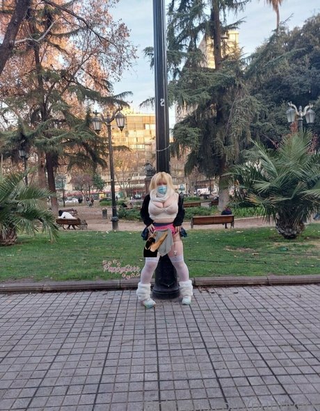 puppy grrr hd star archive