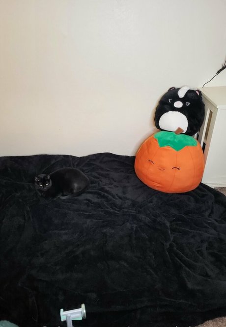 twopunksinlove perfect star img