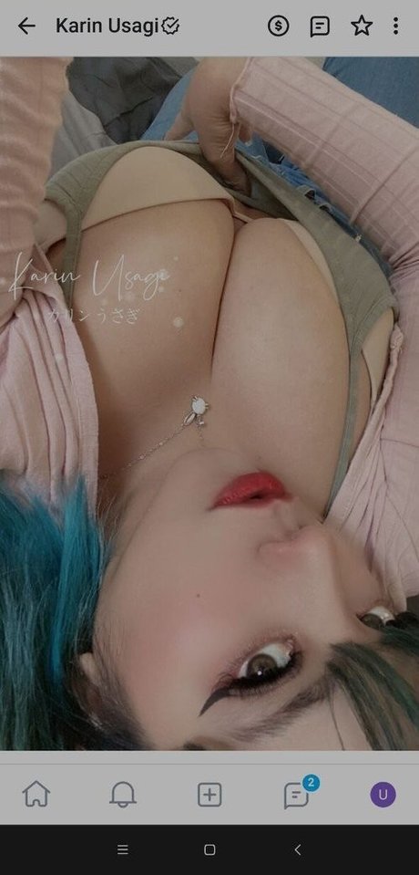 Karin Usagi pornstar free galleries