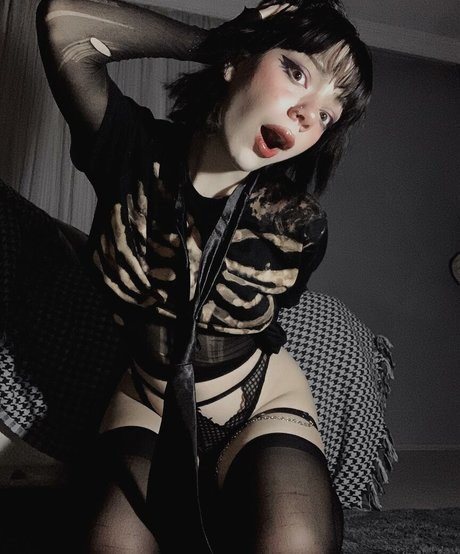 sugarspiceandevrytinnice hd star photos