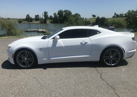 realprincesstiabeanie pornstar images