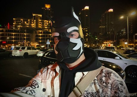 pupkurt perfect pornstar pictures