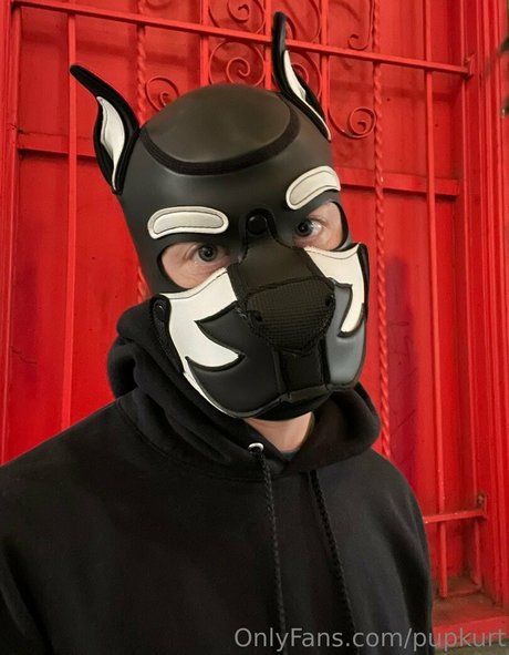 pupkurt model top image