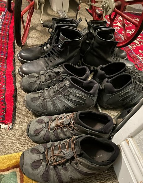 pupkurt star adult picture