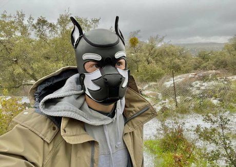 pupkurt star sexy pictures