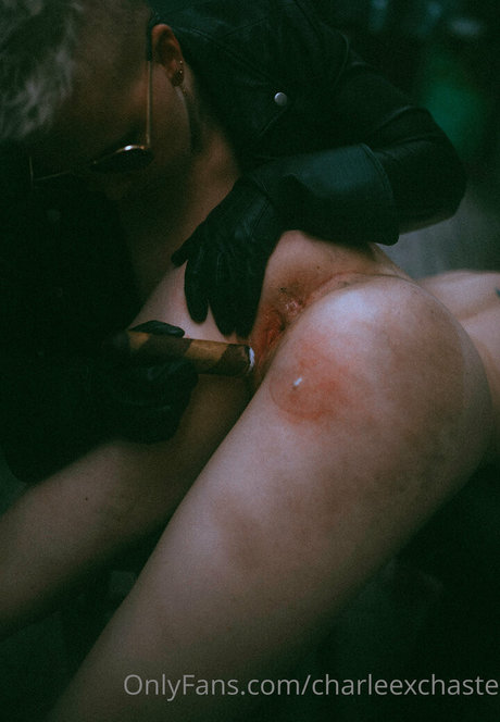 charleexchaste star porn archive