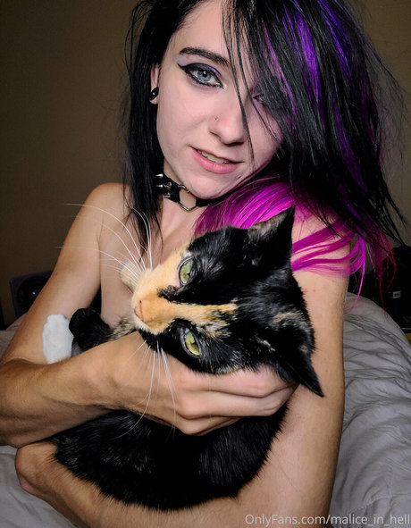 malice in hell nice model img