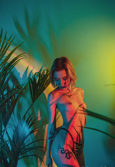 stexvideo exclusive model image