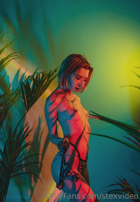 stexvideo pornstar top img