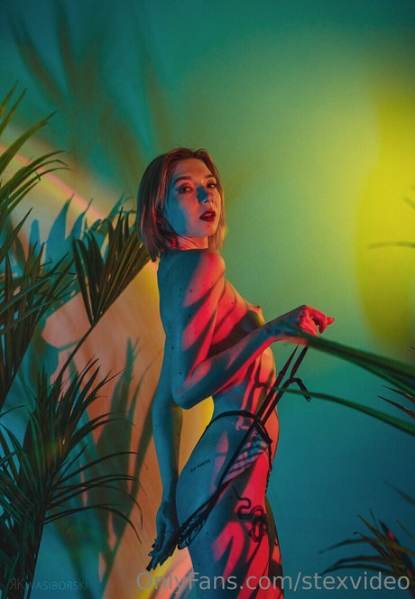 stexvideo pornstar xxx img