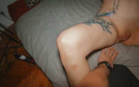 stexvideo model perfect galleries