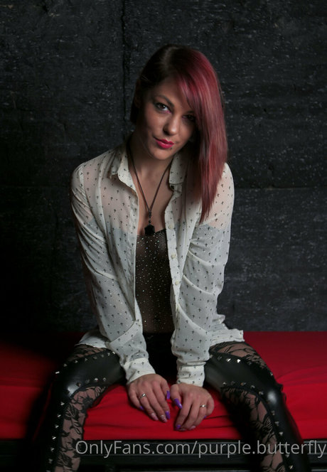 purple butterfly star free images