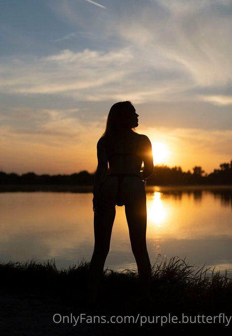 purple butterfly best pornstar pictures