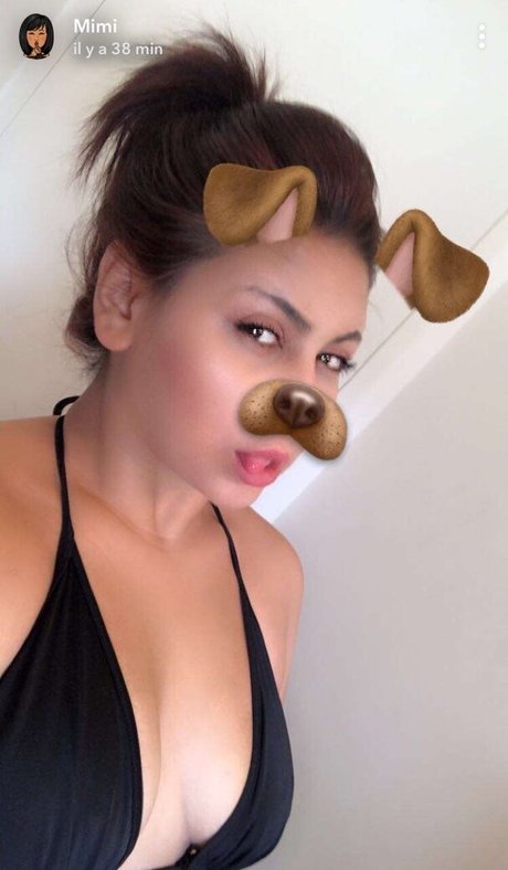 Mimidutiek art star galleries