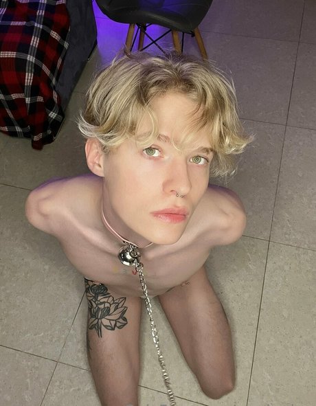 mark sinn nude star archive