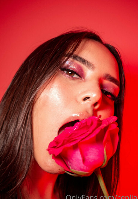 ceplia pornstar adult photo