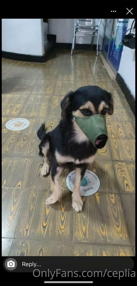 ceplia exclusive model image