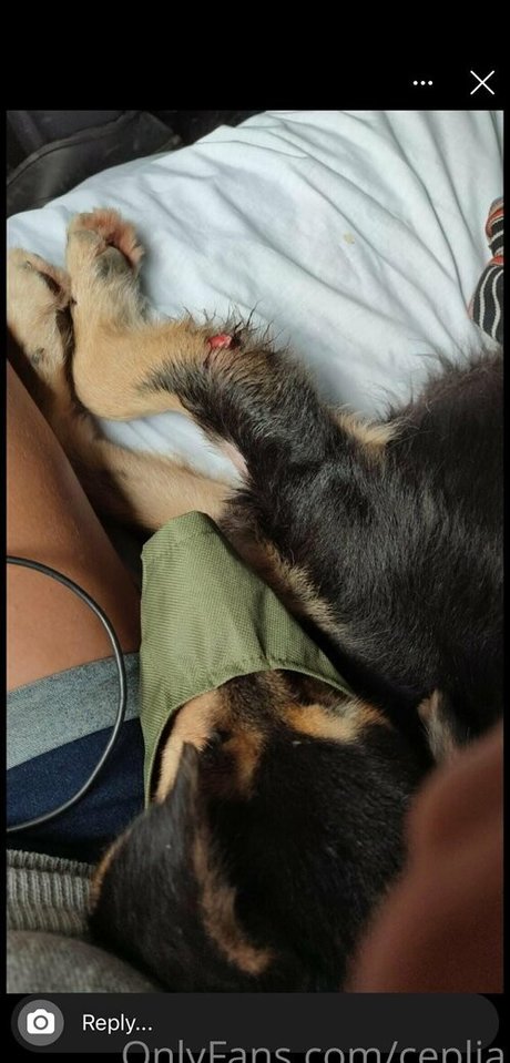 ceplia exclusive actress pic