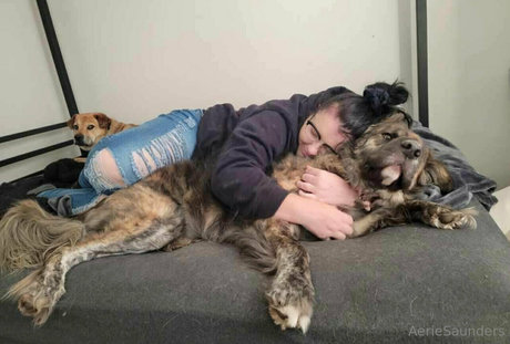 aeriesaunders free star img