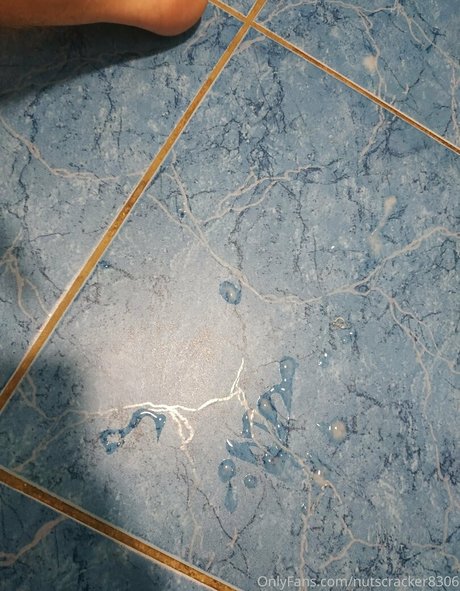 nutscracker8306 hd model pic