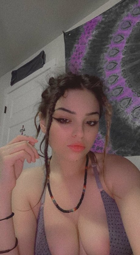 tokin bears hd star picture