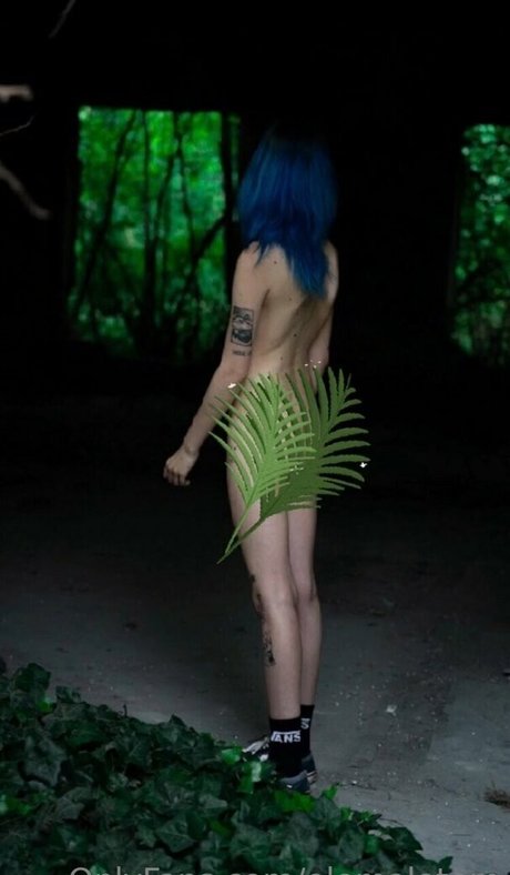 elemaletem free star images