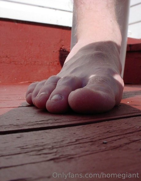 homegiant star art images