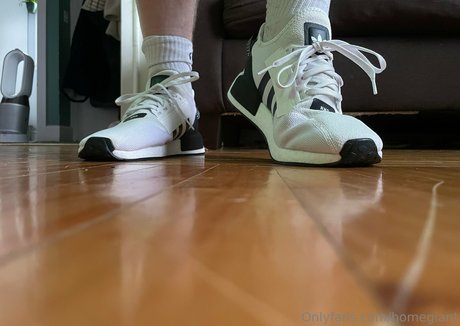 homegiant model photo