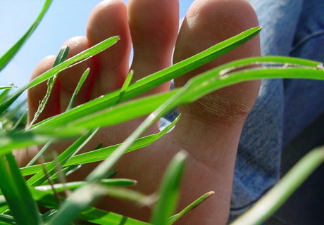 homegiant pornstar xxx gallery