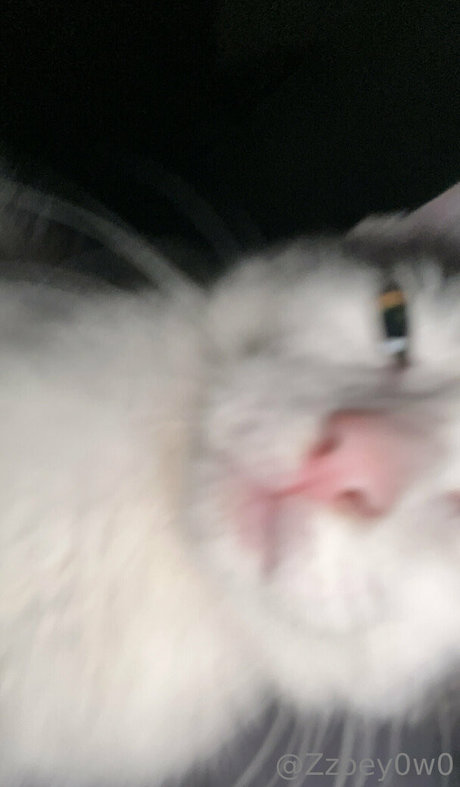 cyb3rb0t naked model picture