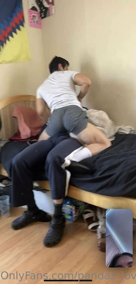 pandas lover xxx star archive