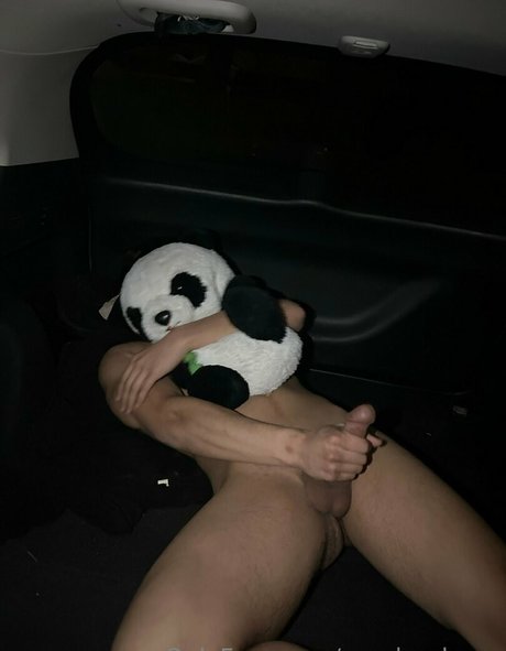 pandas lover hd model archive