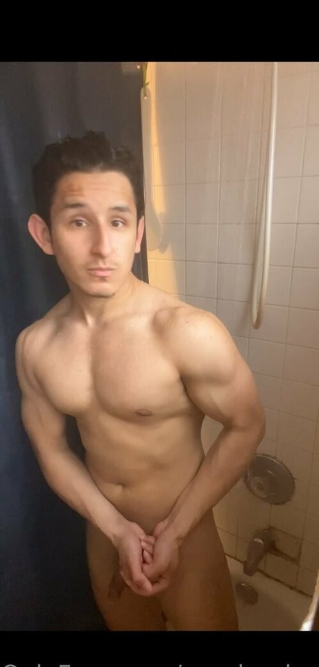 pandas lover star perfect photos