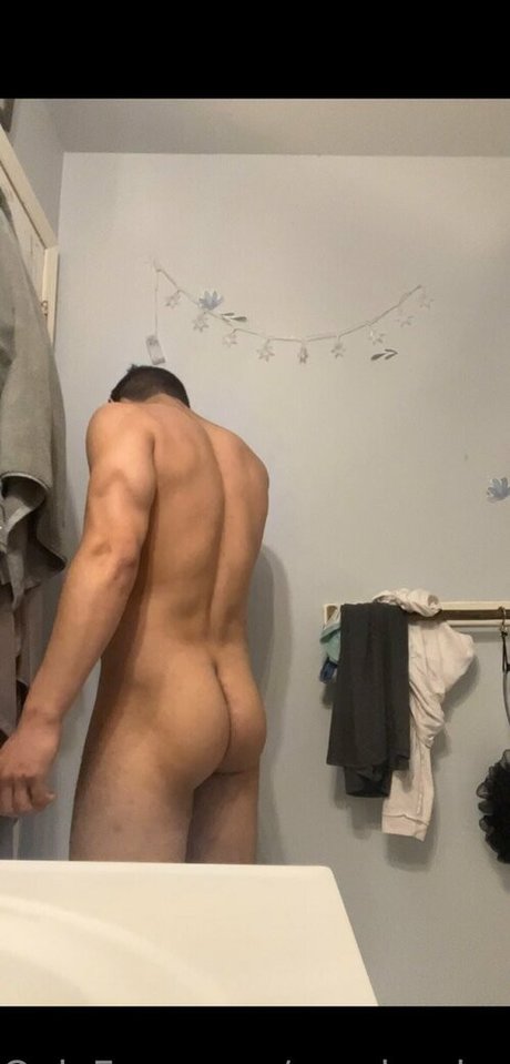 pandas lover star hd gallery