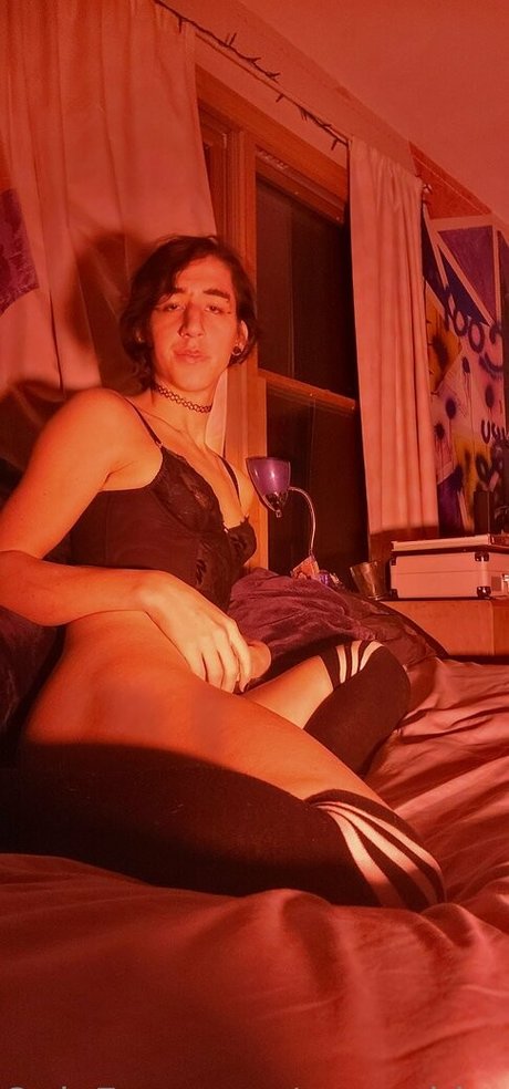 urcorvidae exclusive star picture