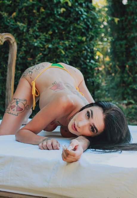 marceladimov star xxx img