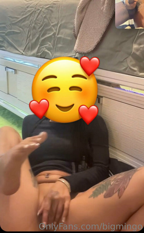 bigmingo top pornstar pics