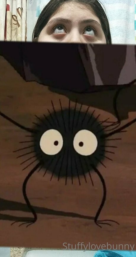 StuffyLoveBunny pornstar pretty photos