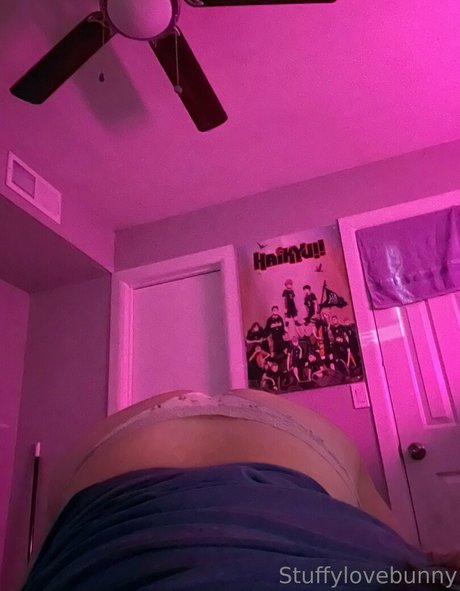 StuffyLoveBunny art pornstar gallery