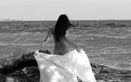 Ploytigerstam star art galleries