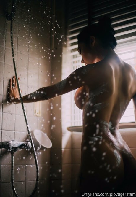 Ploytigerstam pretty star gallery