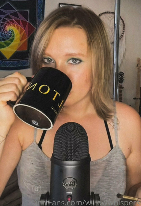 willowwhispers star art pictures