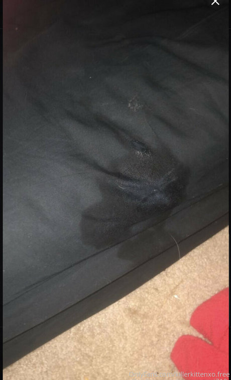 killerkittenxo free high quality actress galleries