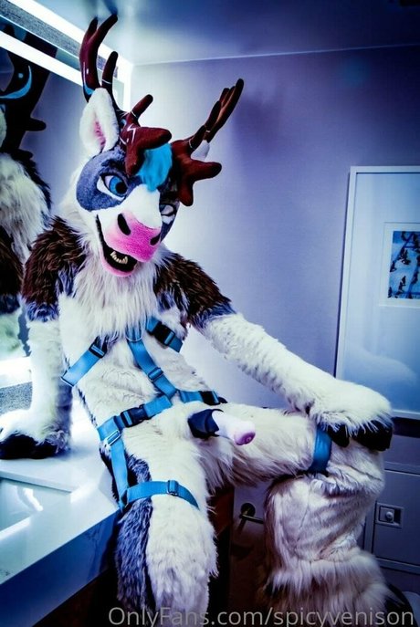 spicyvenison model beautiful galleries