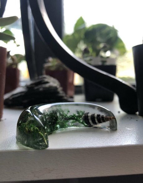 gingerhart star art pics