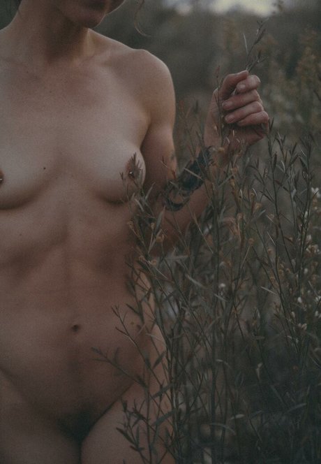 Ever Curious art pornstar pics